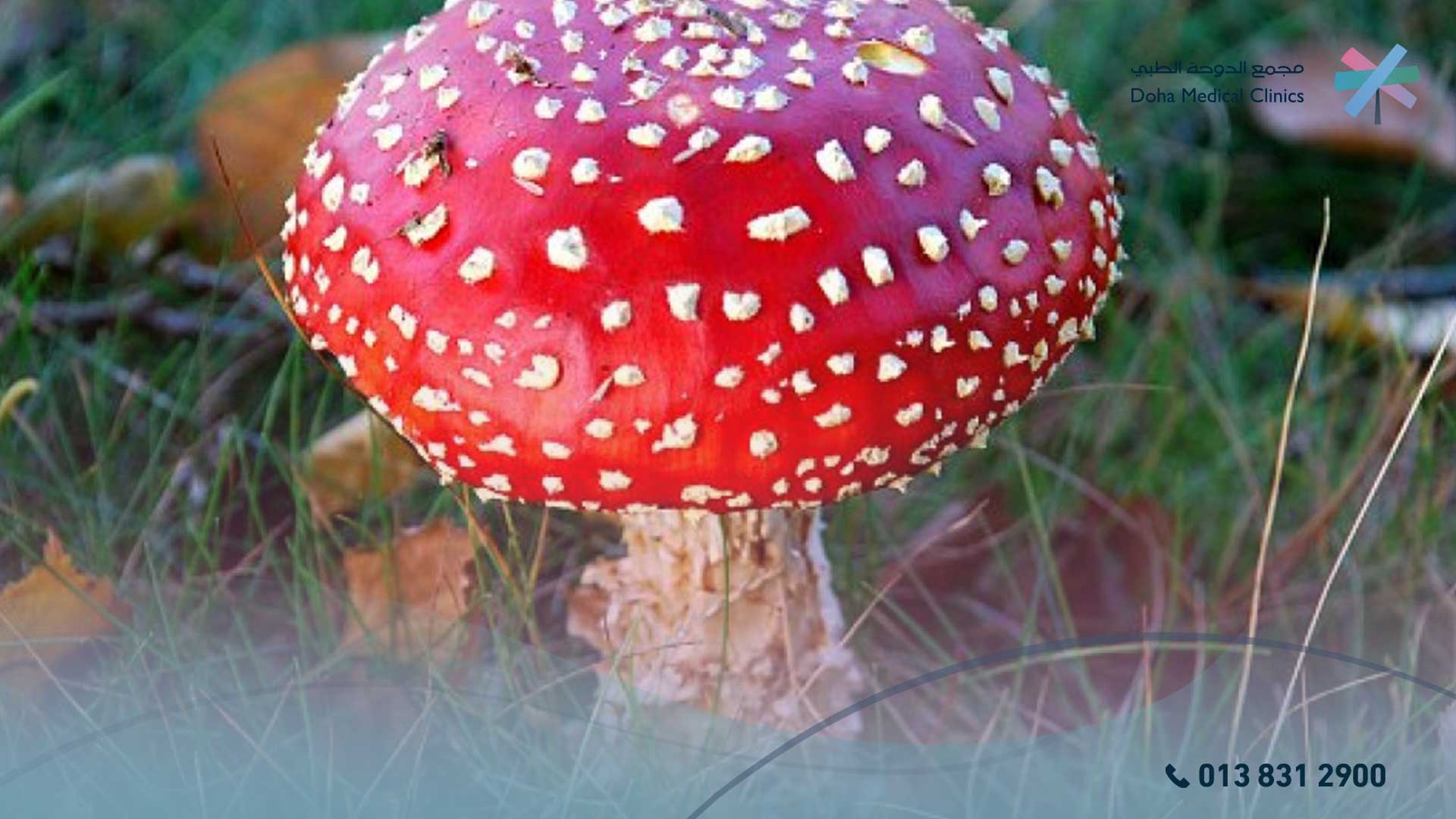 طرق تشخيص الفطريات